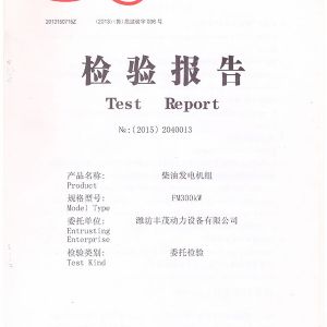 FM300KW柴油發(fā)電機(jī)組 檢驗(yàn)報(bào)告